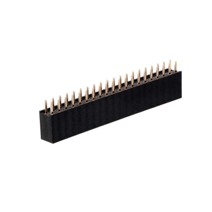 Female Header 2.54mm (2x20)