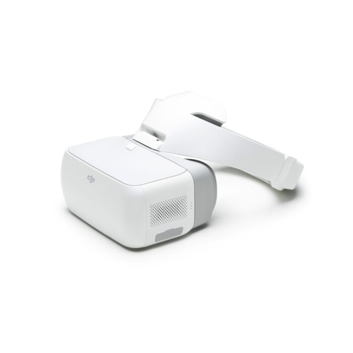 DJI Goggles