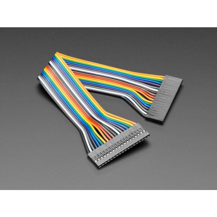 2.54mm 0.1" Pitch 18-pin Jumper Cable - 20cm long