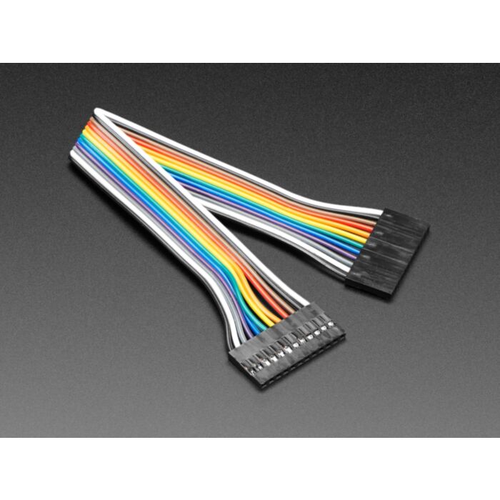 2.54mm 0.1" Pitch 12-pin Jumper Cable - 20cm long