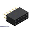 0.100" (2.54 mm) Female Header: 2x5-Pin, Straight