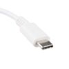 Raspberry Pi Wall Adapter Power Supply - 5.1VDC, 3.0A, 15.3W (USB-C)