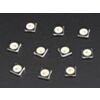 NeoPixel RGBW LEDs w/ Integrated Driver Chip - Cool White - ~6000K - Black Casing - 10 Pack