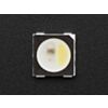 NeoPixel RGBW LEDs w/ Integrated Driver Chip - Cool White - ~6000K - Black Casing - 10 Pack