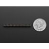 Break-away 0.1 2x20-pin Strip Dual Male Header