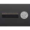 0.100" 2x20-pin Strip Right Angle Female Header