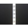 Adafruit NeoPixel Digital RGBW LED Strip - Black PCB 60 LED/m (4M Roll)