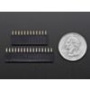 Feather Header Kit - 12-pin and 16-pin Female Header Set