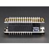 Feather Header Kit - 12-pin and 16-pin Female Header Set