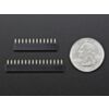 Short Feather Headers Kit - 12-pin and 16-pin Female Header Set