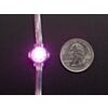 Adafruit NeoPixel LED Strand 20 LED 4 Pitch