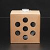 Google AIY Voice Kit for Raspberry Pi V2