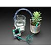 Adafruit Bonsai Buckaroo - micro:bit & CLUE Plant Care Helper