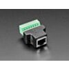 RJ-45 Terminal Block to Ethernet Socket Adapter