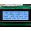 RGB backlight positive LCD 20x4 + extras - black on RGB