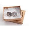 Silver Bipolar Earrings - NPN / PNP
