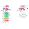 littleBits Sequencer
