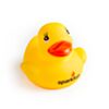 DUCK-24079-1