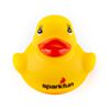 DUCK-24079-2