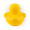 DUCK-24079-3