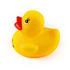 DUCK-24079-4