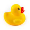 DUCK-24079-5
