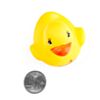DUCK-24079-6