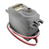 GB-2000-0025-0504-5