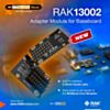 RW-100029-4