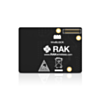 RW-100101-3
