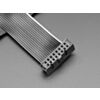 GPIO Ribbon Cable 2x8 IDC Cable - 16 pins 12 long