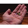 Large Inductive Coil and 10 Wireless LED Kit - 24V