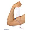 Example of electrode placement for Muscle Sensor v3 to measure bicep activity. (SKU: POLOLU-2726 Image 5)