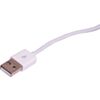 Apple Lightning to USB Adaptor (SKU: D2389 Image 2)