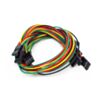 4 pin dual-female jumper wire - 300mm (5 PCs pack) (Seeed Studio) 
