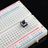 Mini Push Button Switch (5 pcs)