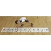 Bee-Bot / Blue-Bot Mat - Number Line