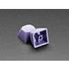 Purple MA Keycaps for MX Compatible Switches - 5 pack