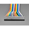 2.54mm 0.1" Pitch 20-pin Jumper Cable - 20cm long