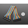 2.54mm 0.1" Pitch 20-pin Jumper Cable - 20cm long