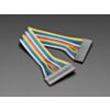 2.54mm 0.1" Pitch 18-pin Jumper Cable - 20cm long