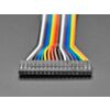 2.54mm 0.1" Pitch 18-pin Jumper Cable - 20cm long