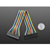 2.54mm 0.1" Pitch 18-pin Jumper Cable - 20cm long