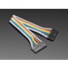 2.54mm 0.1" Pitch 12-pin Jumper Cable - 20cm long