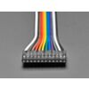 2.54mm 0.1" Pitch 12-pin Jumper Cable - 20cm long