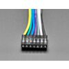 2.54mm Pitch 7-pin Jumper Cable - 20cm long