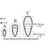 Maxbotix XL-MaxSonar-EZ4/AE4 (MB1240/MB1340) beam characteristics. (SKU: POLOLU-1660 Image 7)