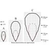 Maxbotix XL-MaxSonar-EZ1/AE1 (MB1210/MB1310) beam characteristics. (SKU: POLOLU-1654 Image 4)