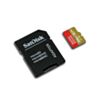 Extreme SD/MicroSD Memory Card - 256GB Class 10 - Adapter Included