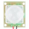 PIR Motion Sensor (JST)